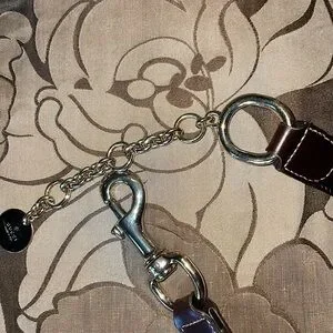 NWOT Gucci web & chain belt Gucci | Accessories | Nwot Gucci Web Chain Belt | Poshmark main image 2